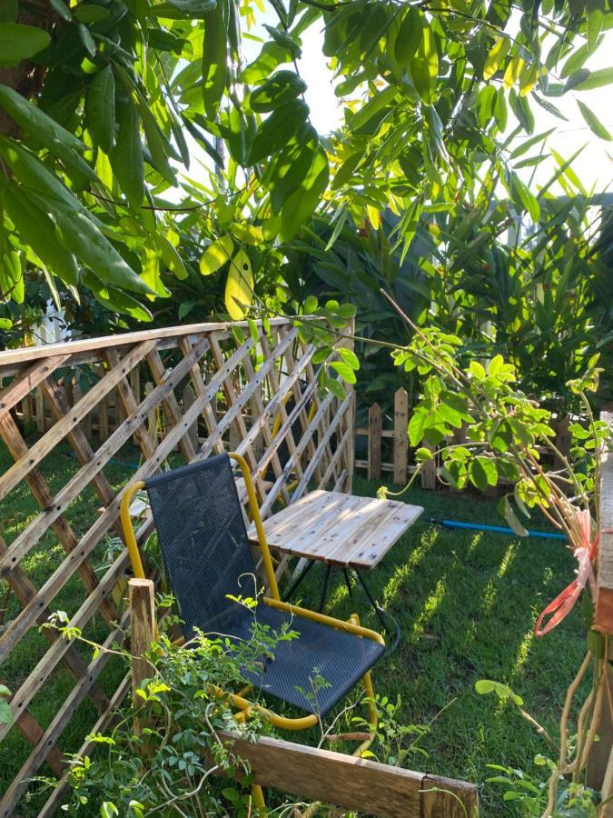Laoxao Homestay ホイアン エクステリア 写真