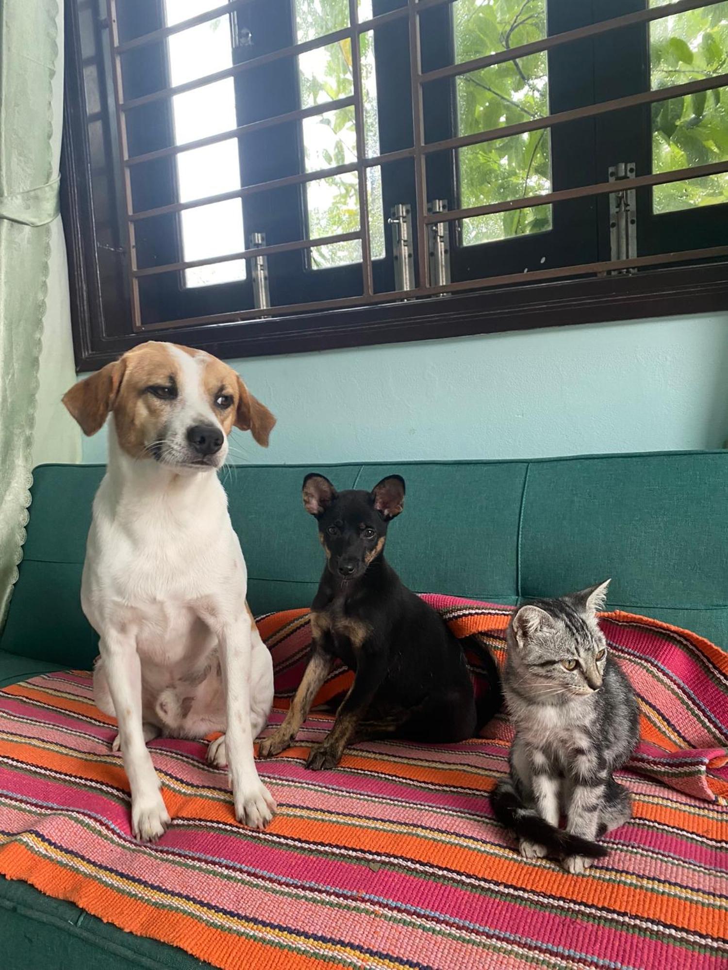 Laoxao Homestay ホイアン エクステリア 写真