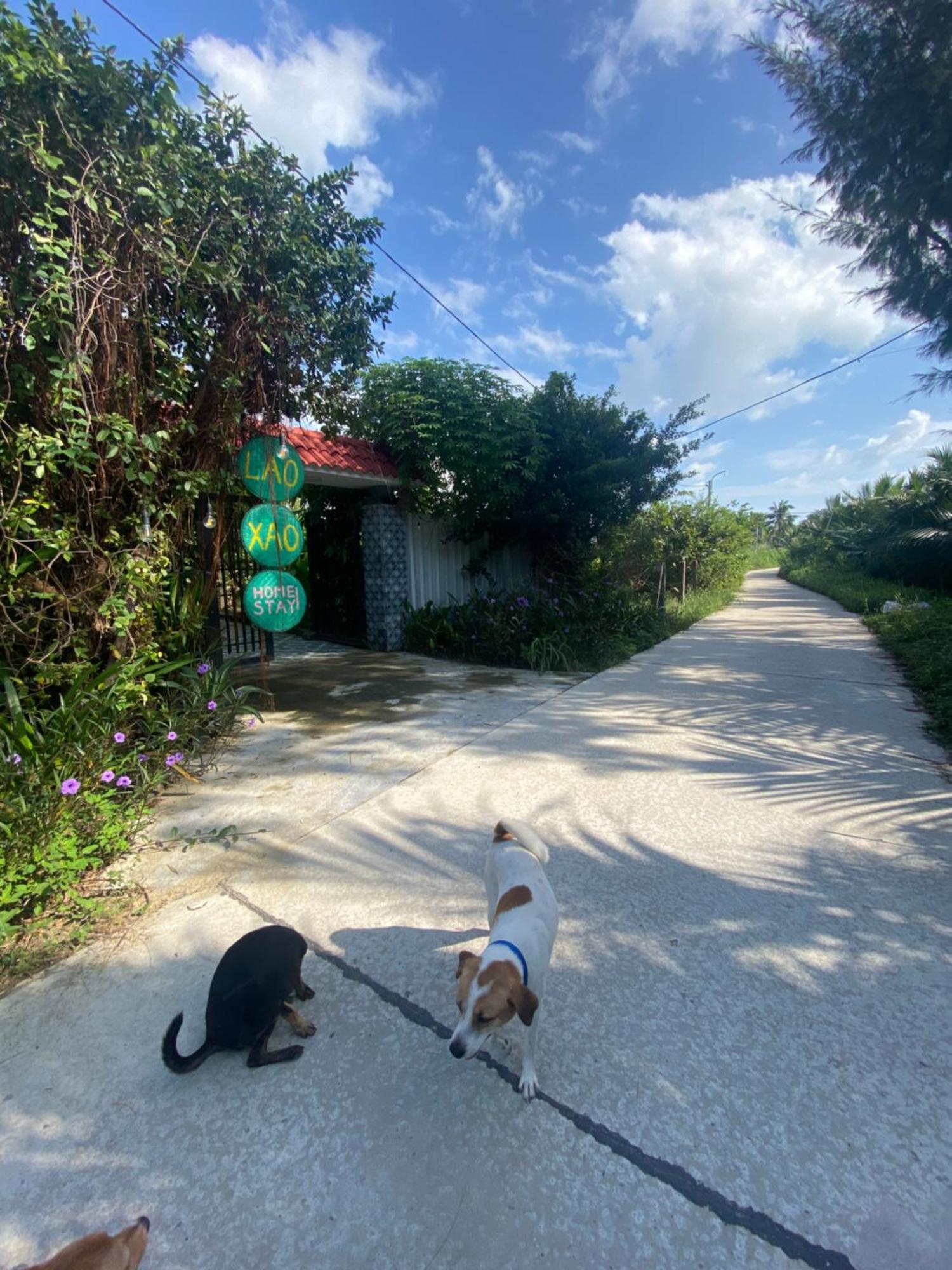 Laoxao Homestay ホイアン エクステリア 写真